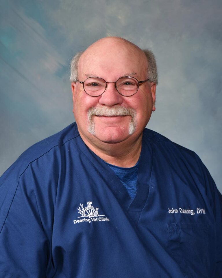 Our Veterinary Team in Abilene, TX Dearing Veterinary Clinic