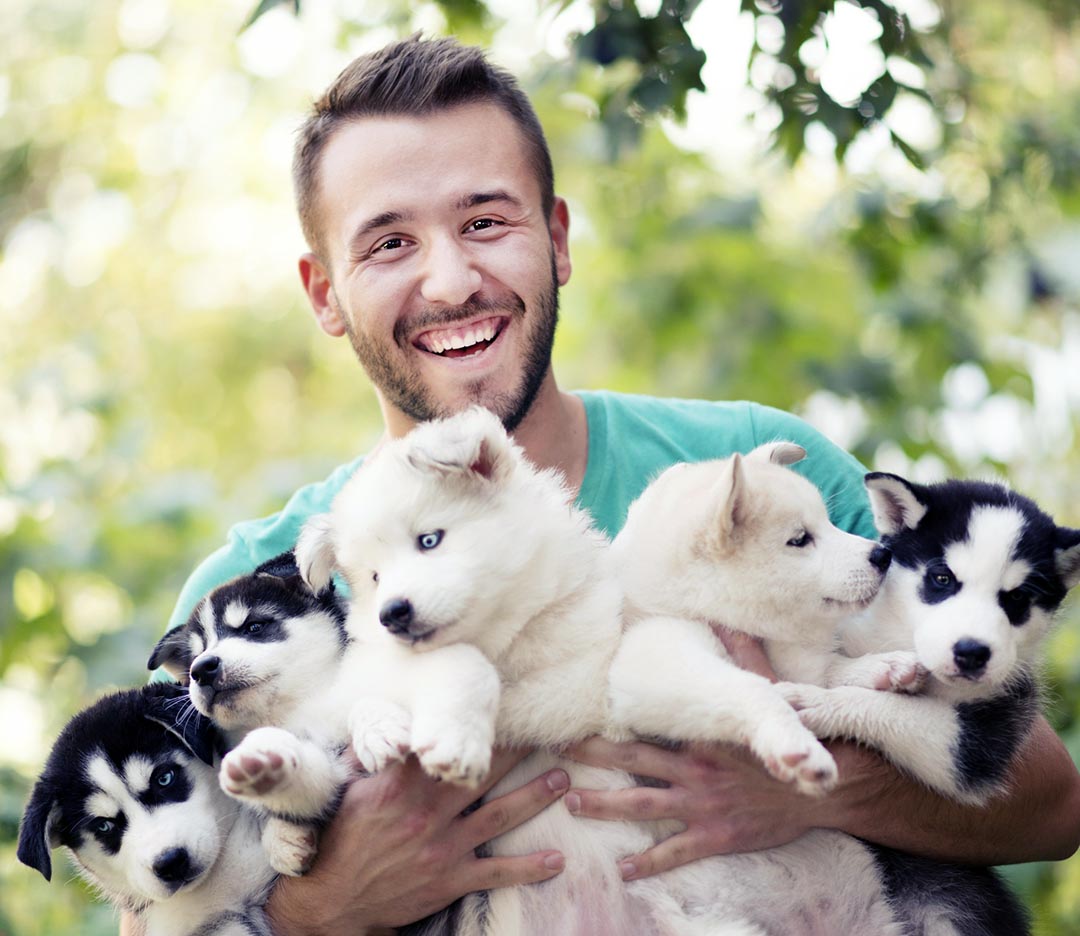 Cheerful Young Men Holding Five Lovely Husky Baby Puppies